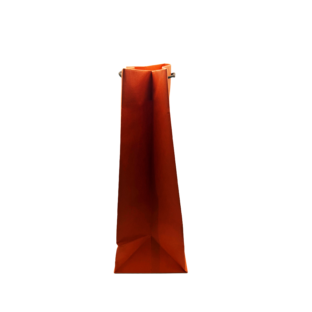 Classic Orange Hermes Shopping Gift Bag Luxury