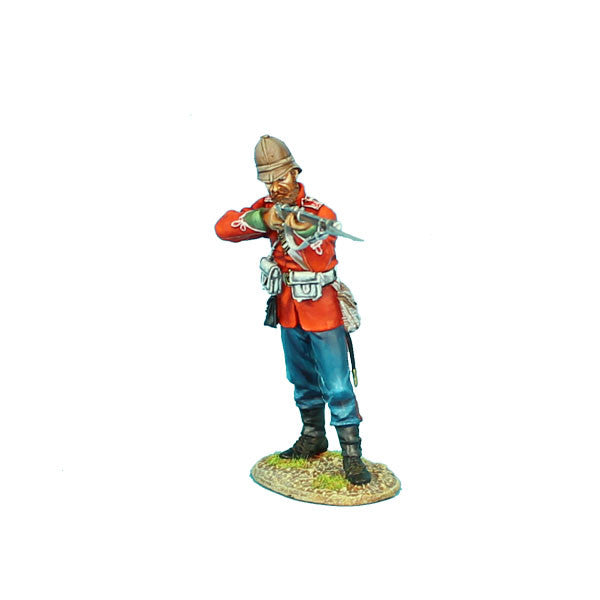 ZUL012 British 24th Foot Standing Firing Variant #2 by First Legion