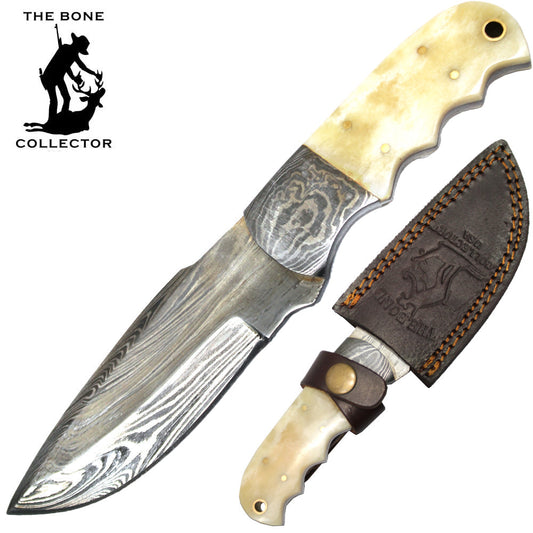BC HKDB-48 8" Damascus Blade Bone Collector Cattle Cow Bone Handle Hunting Knife with Leather Sheath