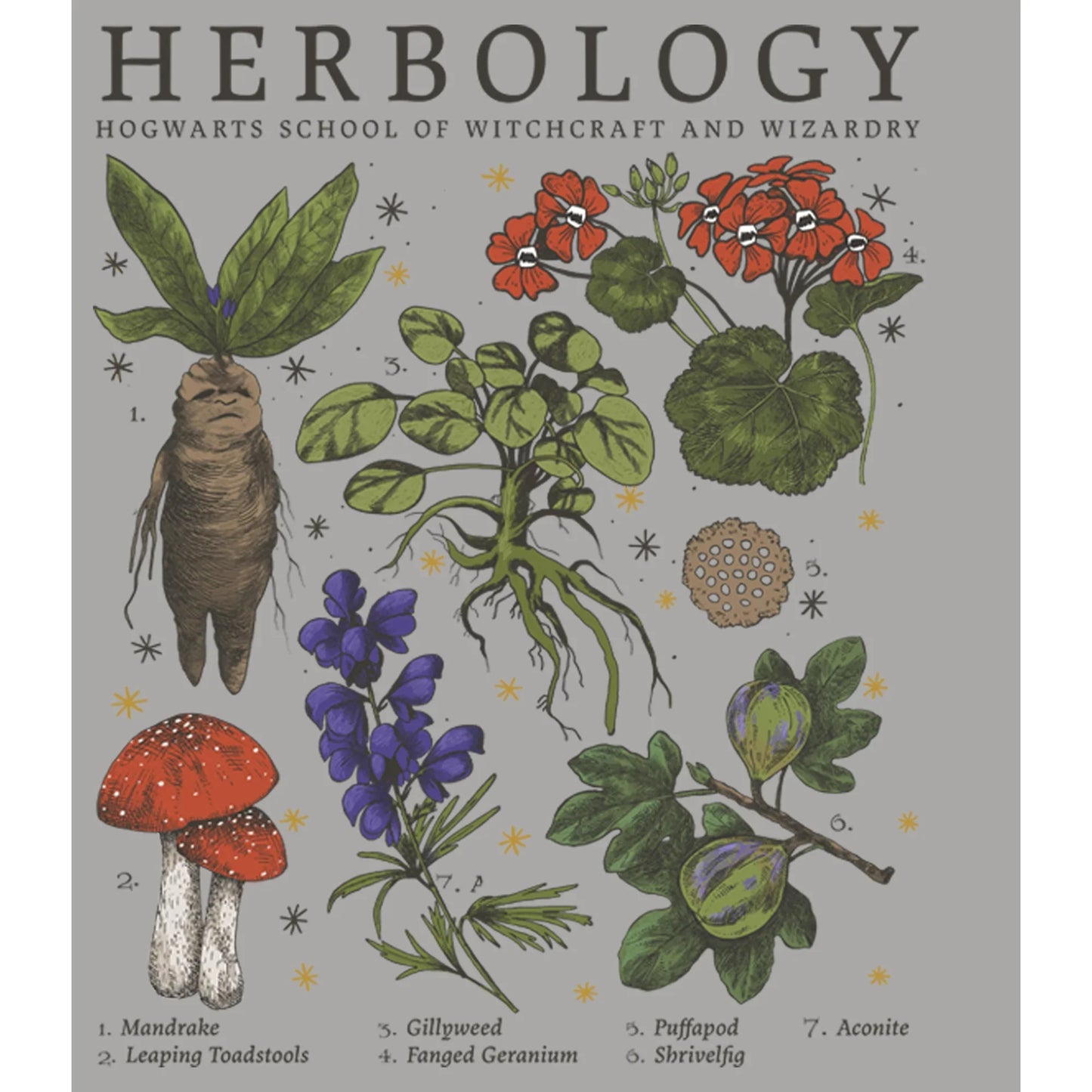 Men's Harry Potter Herbology Graphic Tee T-Shirt