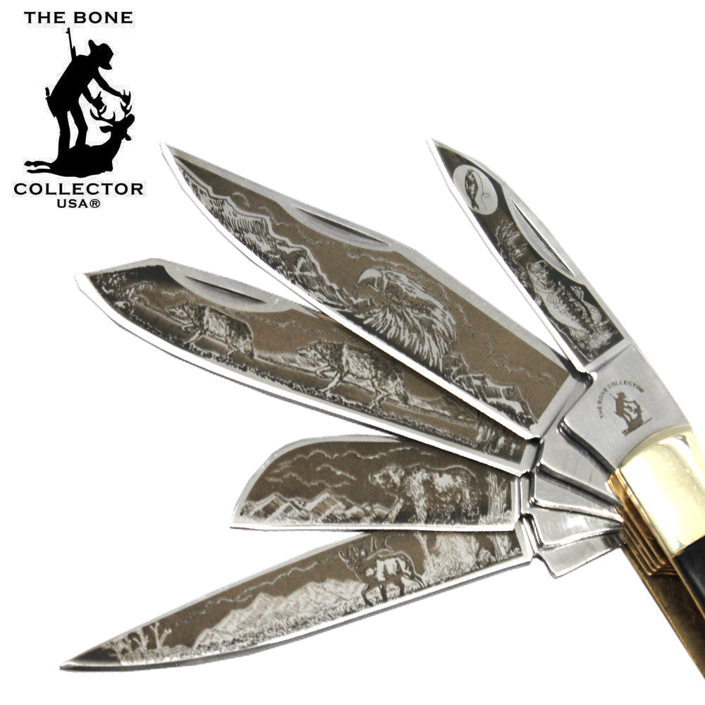 BC 5249-BH 4" 5 Blade Etched Buffalo Horn Bone Collector Pocket Knife - Bladevip