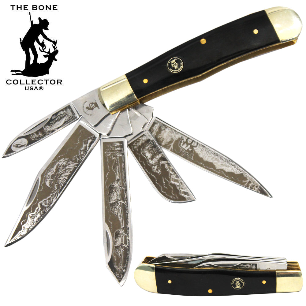 BC 5249-BH 4" 5 Blade Etched Buffalo Horn Bone Collector Pocket Knife - Bladevip