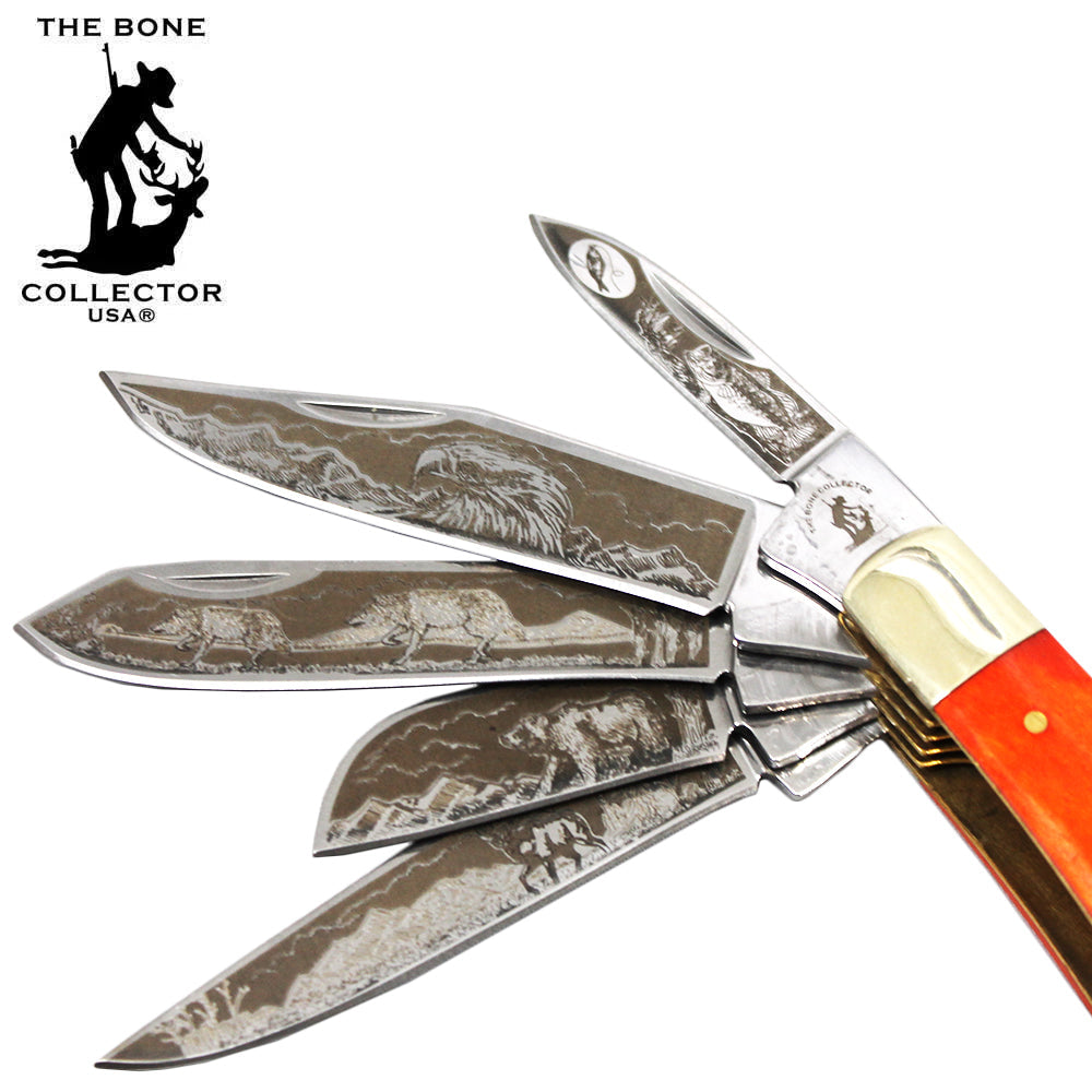 BC 5249-OSM 4" 5 Blade Etched Orange Bovine Bone Collector Pocket Knife - Bladevip