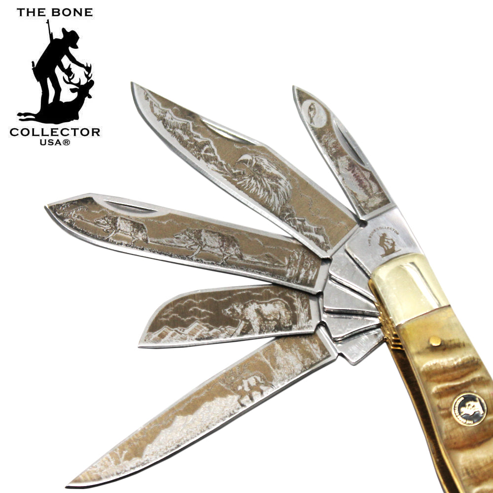 BC 5249-RH 4" 5 Blade Etched Ram Horn Bone Collector Pocket Knife - Bladevip