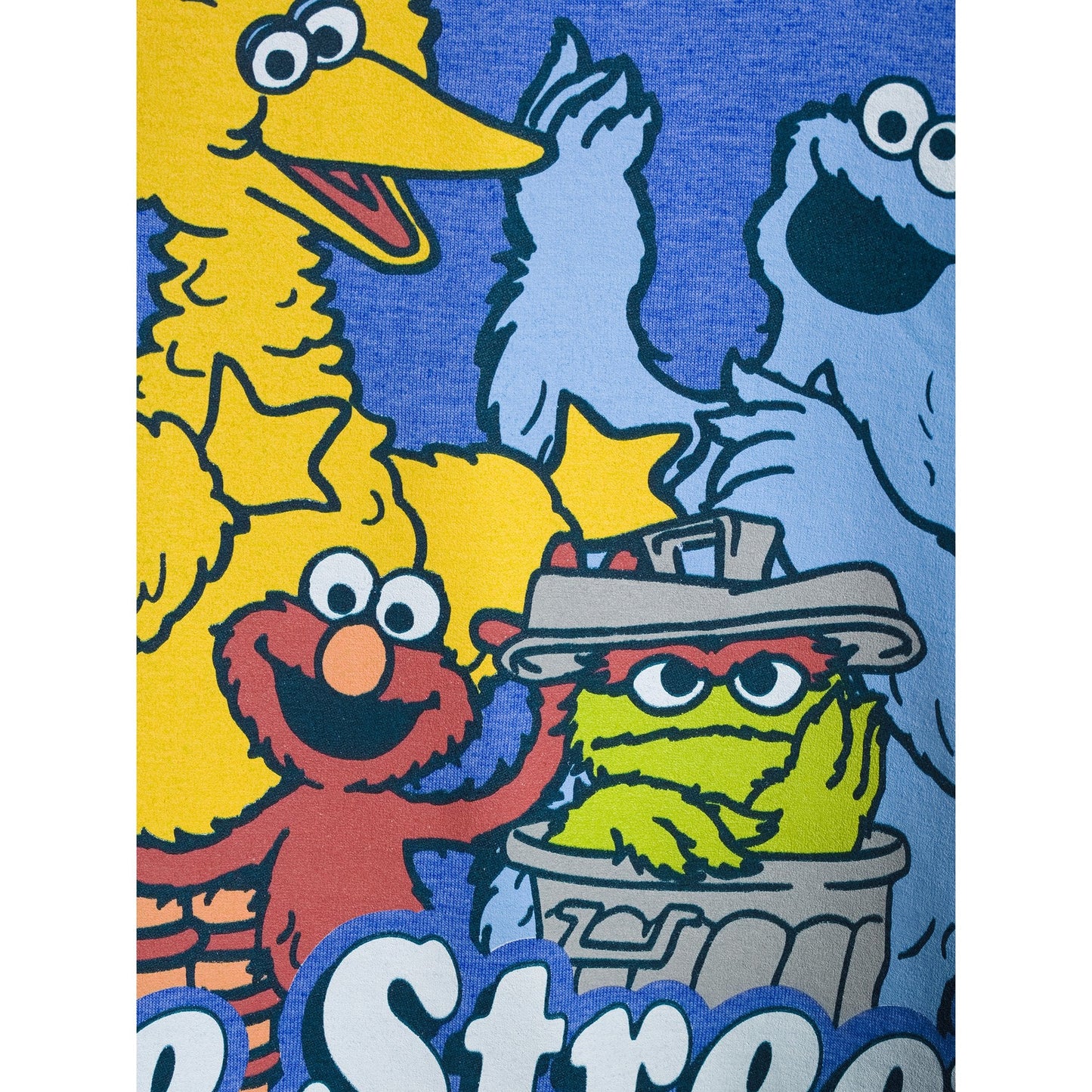 Men's Sesame Street Everything I Know Graphic Tee T-Shirt