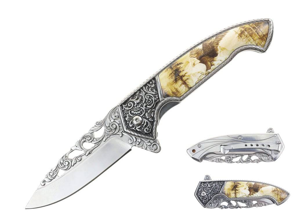 T 27801-GO  5" Goose Eteched Design Assist-Open Folding Knife