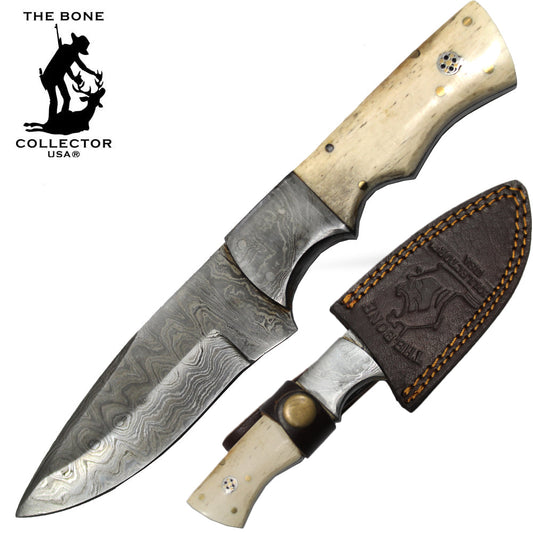 BC HKDB-19BN 8" Damascus Blade Bone Collector Cattle Cow Bone Handle Hunting Knife with Leather Sheath