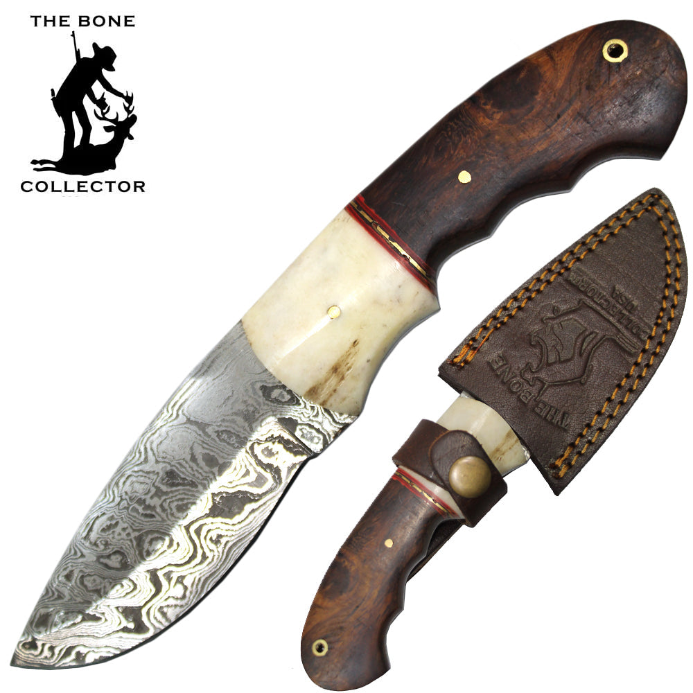 8" Damascus Blade Bone Collector Cattle Cow Bone & Wood Hunting Knife with Leather Sheath